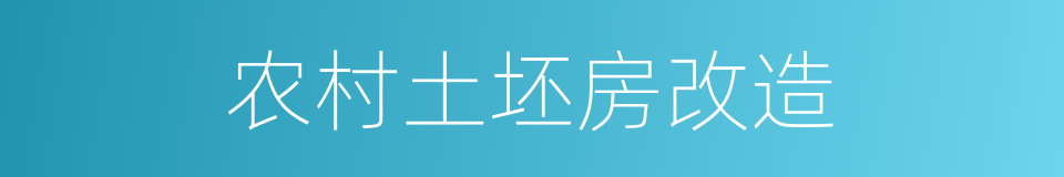 农村土坯房改造的同义词