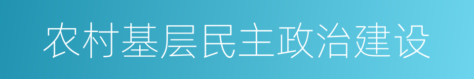 农村基层民主政治建设的同义词