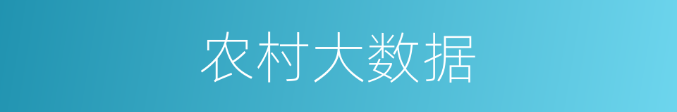 农村大数据的同义词