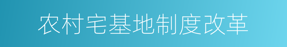 农村宅基地制度改革的同义词