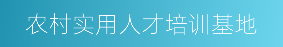 农村实用人才培训基地的同义词