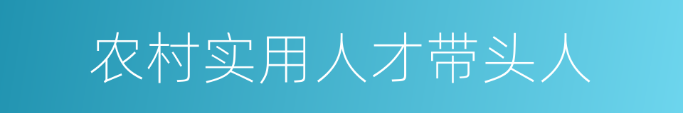 农村实用人才带头人的同义词