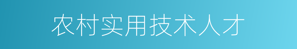 农村实用技术人才的同义词