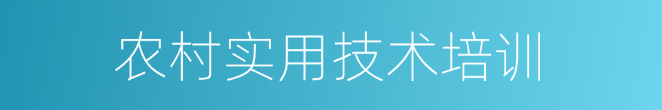 农村实用技术培训的同义词