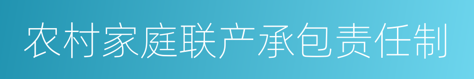 农村家庭联产承包责任制的同义词