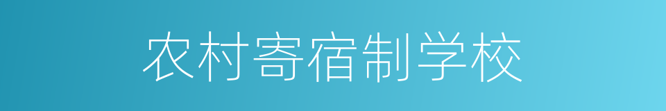 农村寄宿制学校的同义词