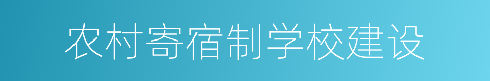 农村寄宿制学校建设的同义词