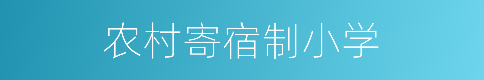 农村寄宿制小学的同义词