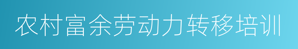 农村富余劳动力转移培训的同义词