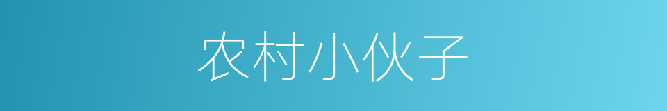 农村小伙子的同义词