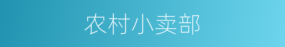 农村小卖部的同义词