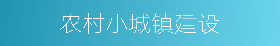 农村小城镇建设的同义词