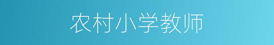 农村小学教师的同义词