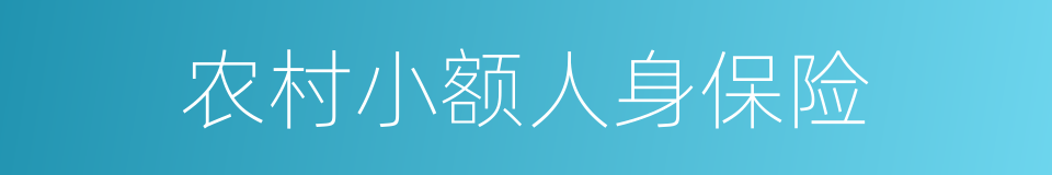 农村小额人身保险的同义词