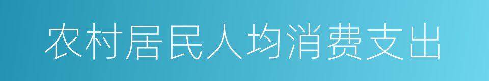 农村居民人均消费支出的同义词