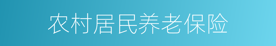 农村居民养老保险的同义词