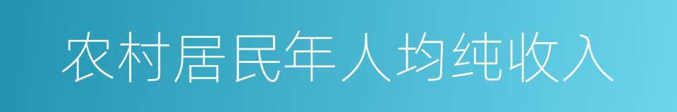 农村居民年人均纯收入的同义词