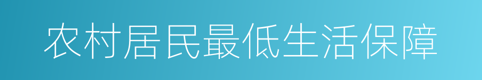 农村居民最低生活保障的同义词