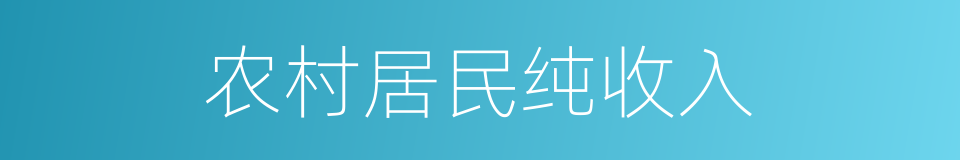 农村居民纯收入的同义词