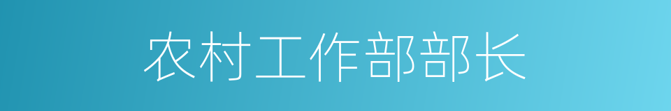 农村工作部部长的同义词