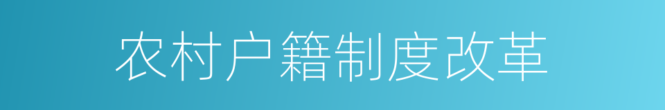 农村户籍制度改革的同义词