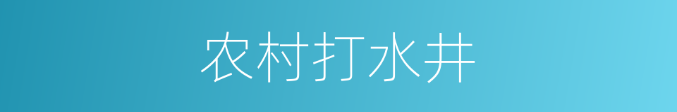 农村打水井的同义词