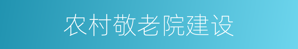 农村敬老院建设的同义词