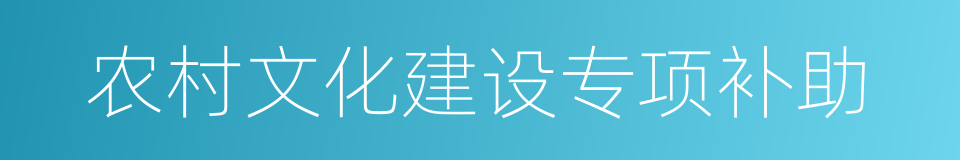 农村文化建设专项补助的同义词