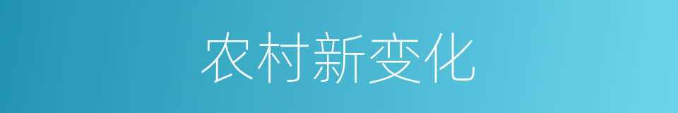 农村新变化的同义词