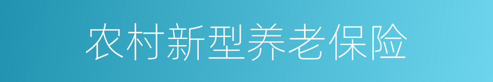 农村新型养老保险的同义词