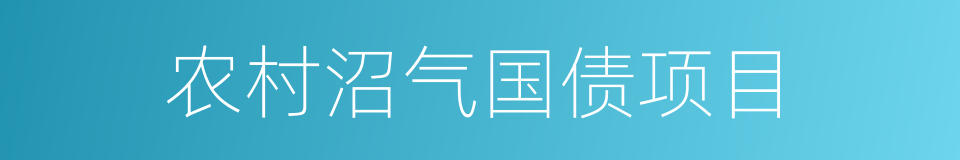 农村沼气国债项目的同义词