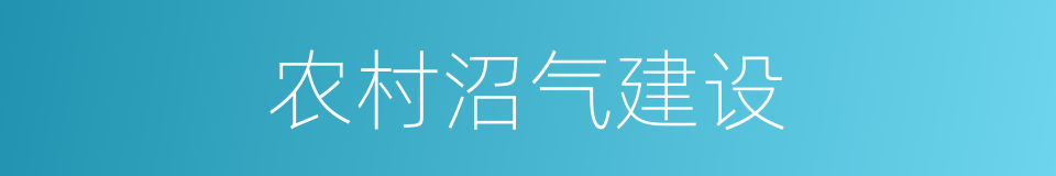 农村沼气建设的同义词