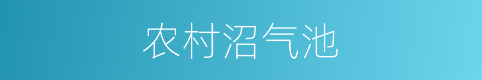 农村沼气池的同义词