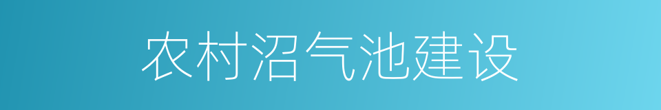 农村沼气池建设的同义词