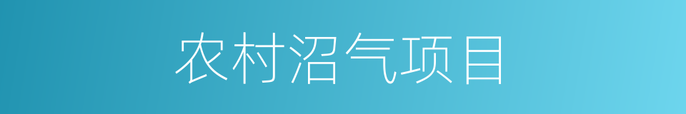 农村沼气项目的同义词