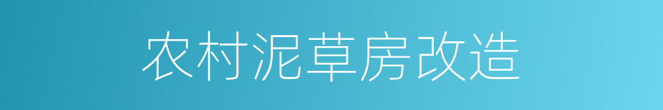 农村泥草房改造的同义词