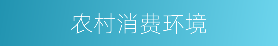农村消费环境的同义词