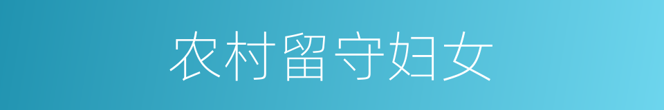 农村留守妇女的同义词