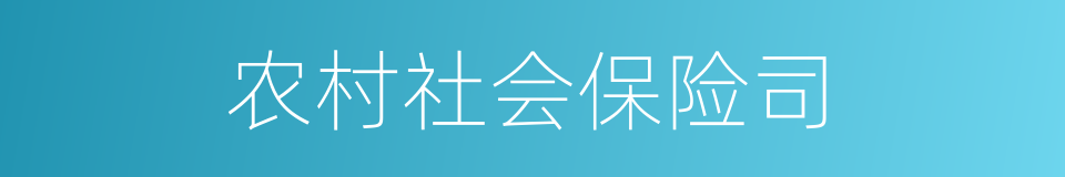 农村社会保险司的同义词