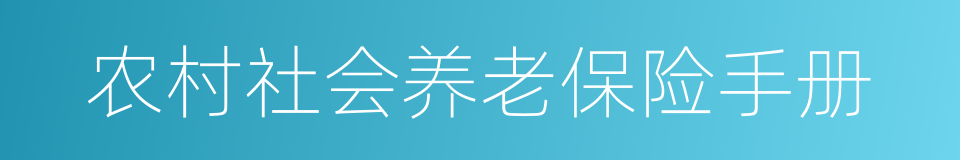 农村社会养老保险手册的同义词