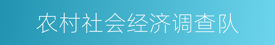 农村社会经济调查队的同义词