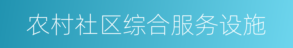 农村社区综合服务设施的同义词