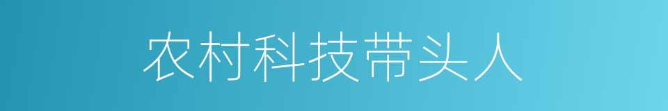 农村科技带头人的同义词