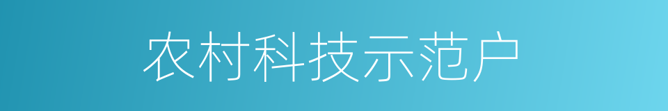 农村科技示范户的同义词