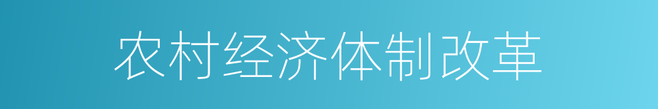 农村经济体制改革的同义词