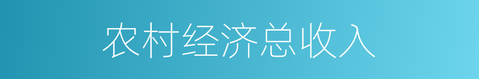 农村经济总收入的同义词