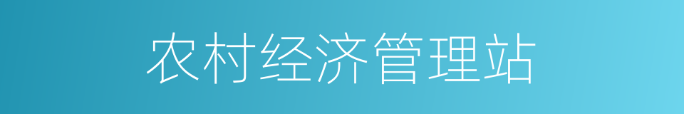 农村经济管理站的同义词