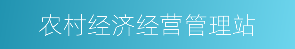 农村经济经营管理站的同义词