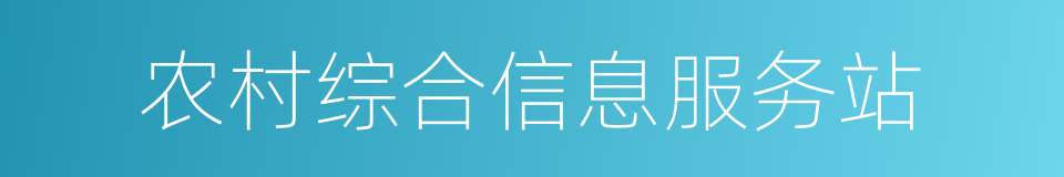 农村综合信息服务站的同义词