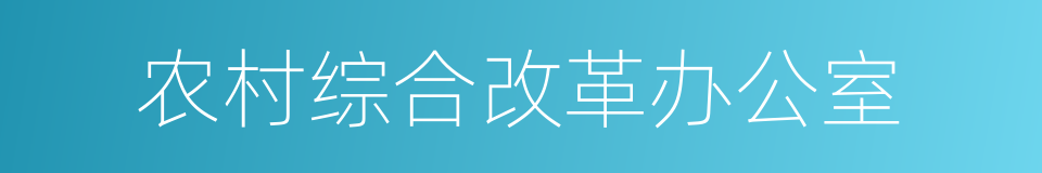 农村综合改革办公室的同义词